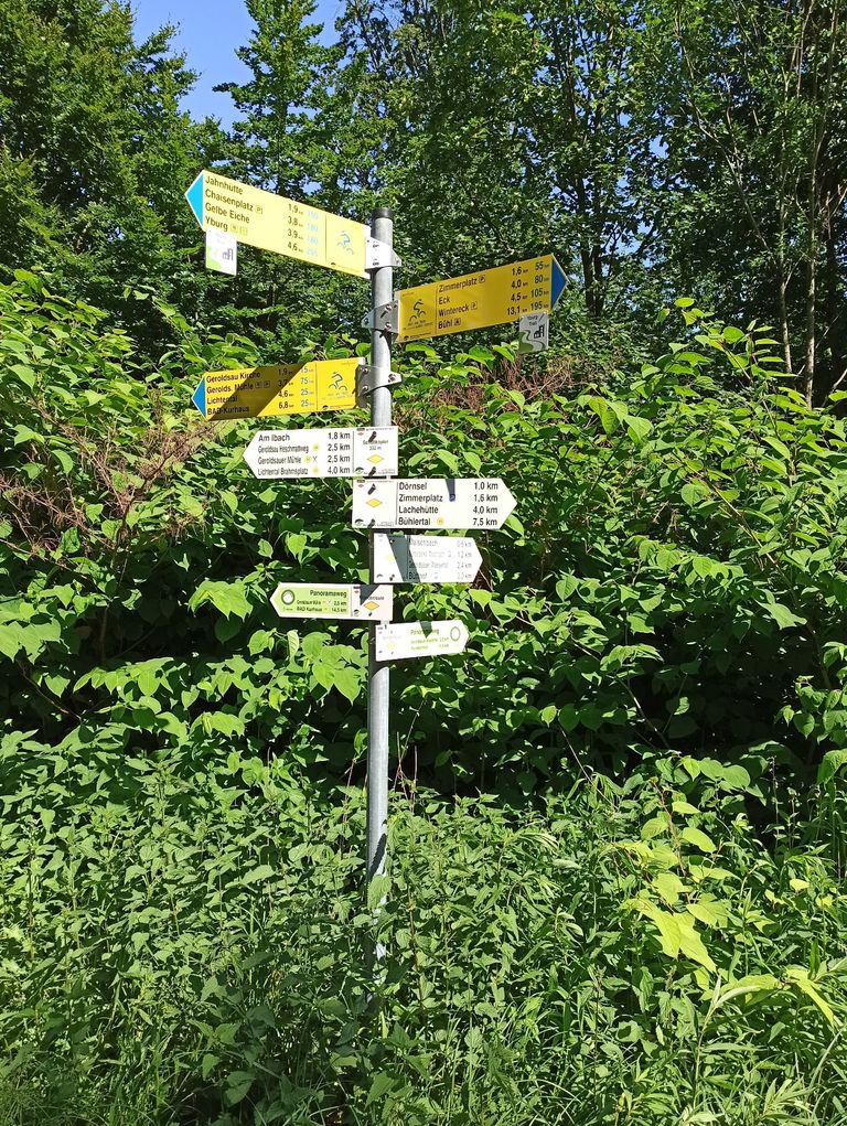 Wegweiser im Wald